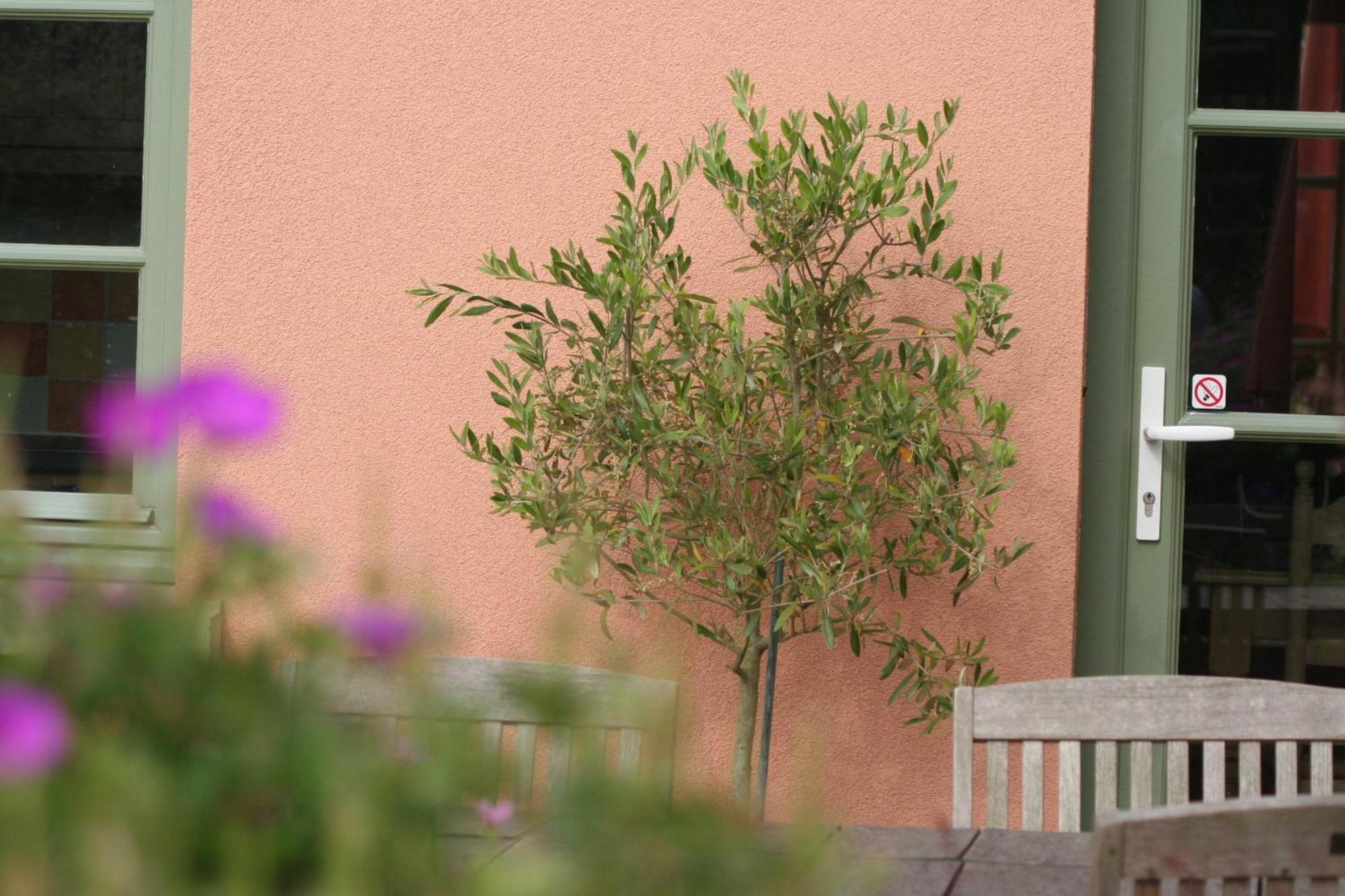 B&B La Cle Du Sud Merelbeke Exterior photo